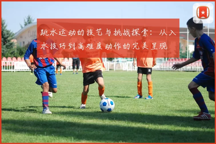 跳水运动的技艺与挑战探索：从入水技巧到高难度动作的完美呈现