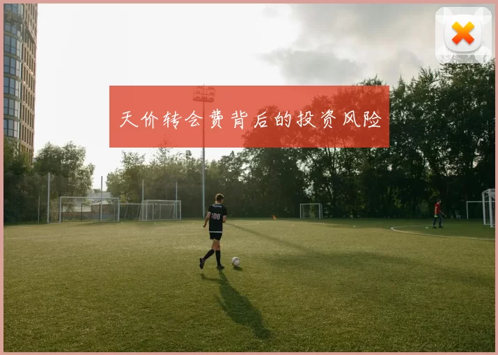 天价转会费背后的投资风险