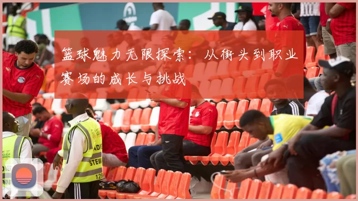 篮球魅力无限探索：从街头到职业赛场的成长与挑战